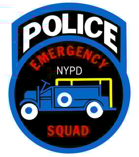 Picture of Emergency Service Unit