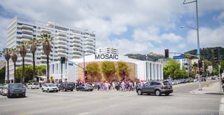 Picture of Mosaic