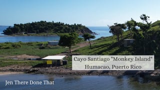 Picture of Cayo Santiago
