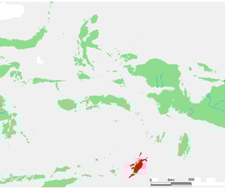 Picture of Tanimbar Islands