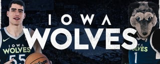 Picture of Iowa Wolves