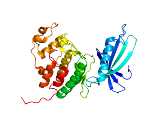 Picture of Cyclin-dependent kinase 4