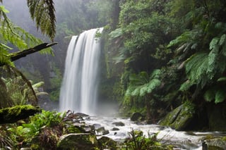 Picture of Natural environment