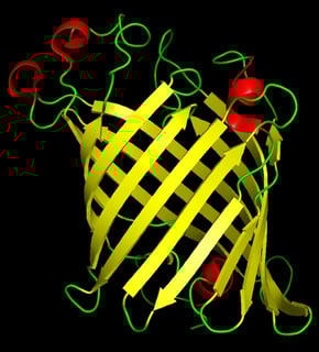 Picture of Phospholipase A1
