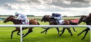 Picture of Horse Racing Ireland