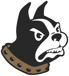 Picture of Wofford Terriers