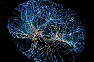Picture of Biological computing