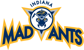 Picture of Fort Wayne Mad Ants