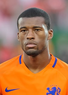 Picture of Georginio Wijnaldum