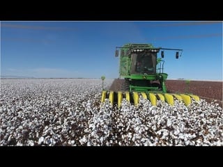 Picture of Agricultural Workers