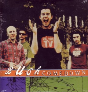 Picture of Comedown