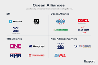 Picture of Ocean Alliance