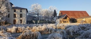 Picture of La Maison Troisgros