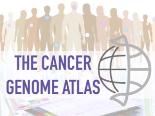 Picture of The Cancer Genome Atlas