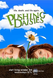 Picture of Pushing Daisies