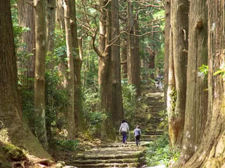 Picture of Kumano Kodō