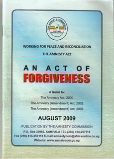 Picture of Amnesty law