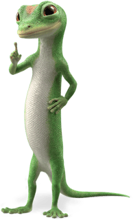Picture of GEICO