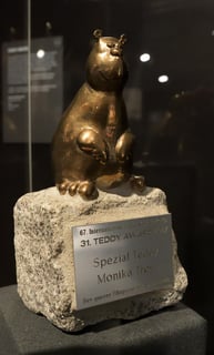 Picture of Teddy Award