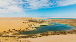 Picture of Faiyum Oasis