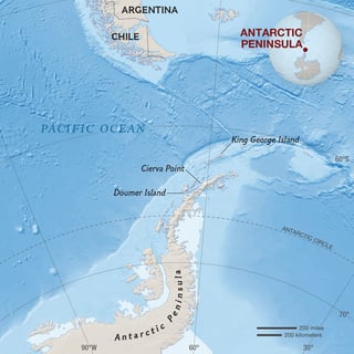 Picture of Antarctic Peninsula