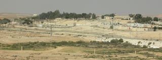 Picture of Nitzana