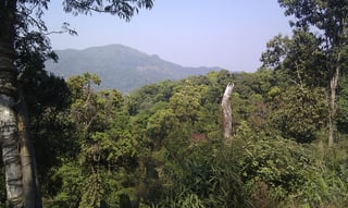 Picture of Kaeng Krachan National Park