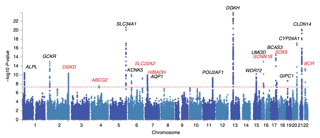 Picture of Genome-wide association study