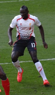 Picture of Mamadou Sakho