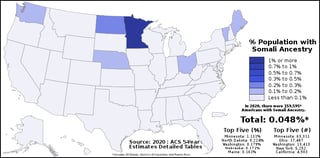 Picture of Somali Americans