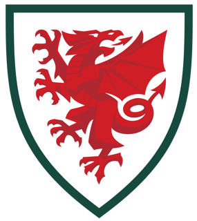 Picture of Wales national football team