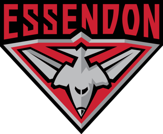 Picture of Essendon Football Club