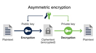Picture of Encryption
