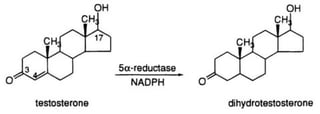 Picture of Dihydrotestosterone