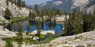 Picture of Sequoia & Kings Canyon National Parks
