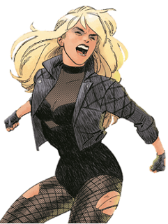 Picture of Black Canary