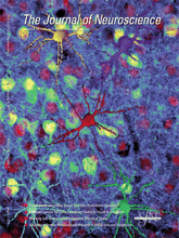 Picture of The Journal of Neuroscience