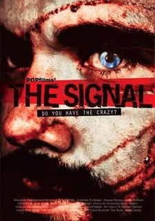 Picture of The Signal