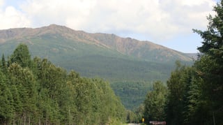 Picture of Mount Albert