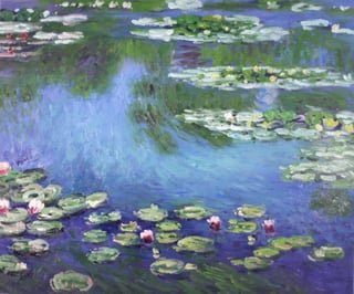Picture of Water Lilies