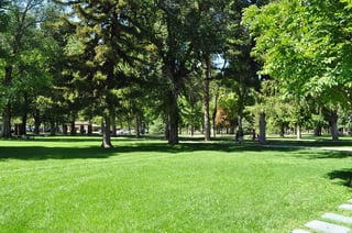 Picture of Liberty Park