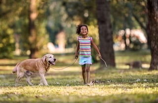 Picture of Dog walking