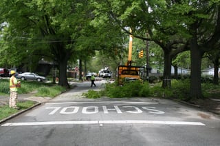 Picture of Urban forestry