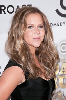 Picture of Amy Schumer