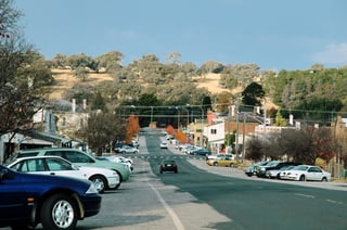 Picture of Molong