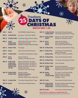 Picture of 25 Days of Christmas
