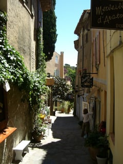 Picture of Bormes-les-Mimosas