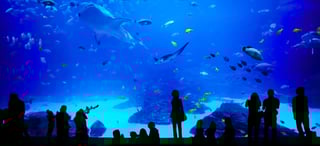 Picture of Seattle Aquarium