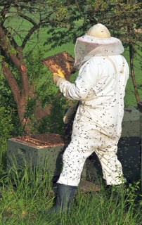 Picture of Beekeeper
