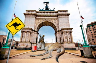 Picture of Brooklyn